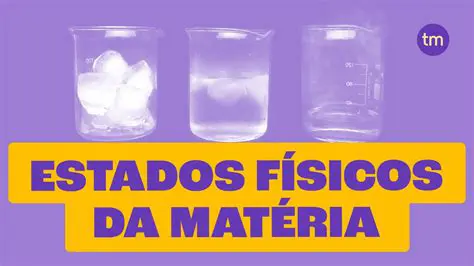 A Teoria da Forma e da Materia