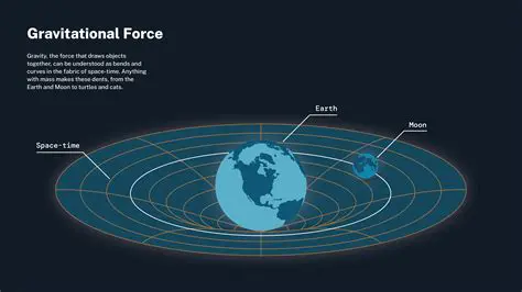 Adapt to the gravitational force
