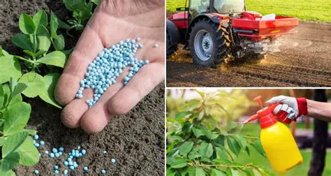 Agriculture and Fertilizer Use