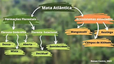 Ajuda a entender os ecossistemas