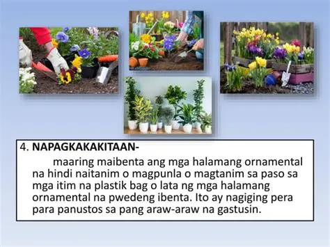 Ang mga benepisyo ng pagtatanim sa Tarlac