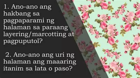 Ang Mga Pagkakataon ng Pagpaparami ng Kabataan