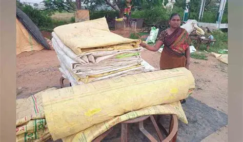 Applying policies that support and protect paddy fields