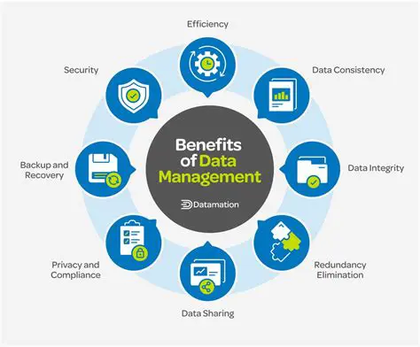 Benefits of a Data Coordinator