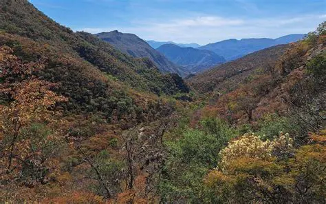 Bioma Tropical de Selva Seca