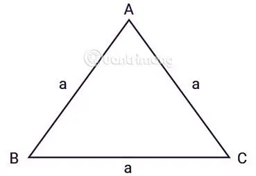 Calcularea Ariei unui Triunghi