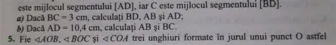 Calcularea Lungimilor Segmentelor