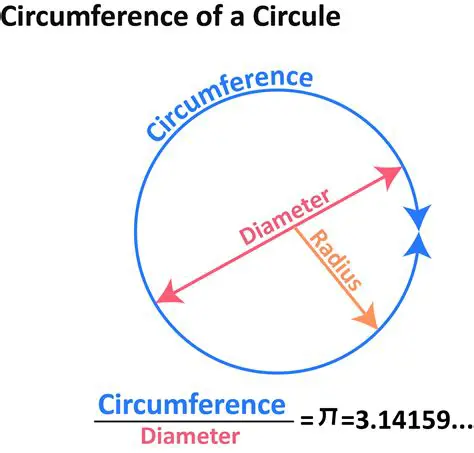 Calculate the circumference of the circle