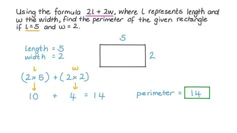 Calculating the Perimeter of a Rectangle with Variable Length and Width