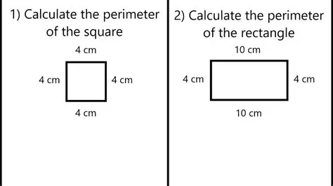 Calculating the Perimeter of the Rug