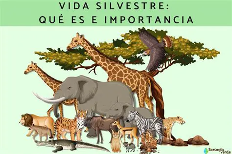 Cambios en la vida silvestre