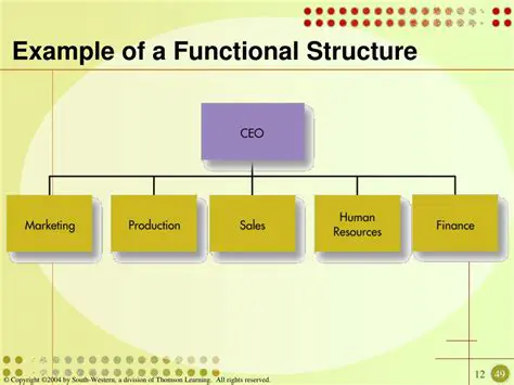 Characteristics of a Functional Structure