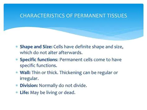 Characteristics of Permanent Tissues