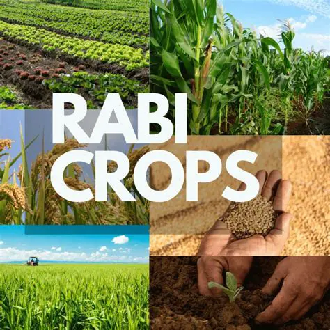 Characteristics of Rabi Crops