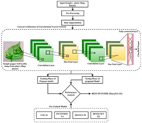 Checking the Model and Image