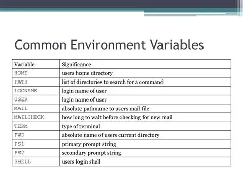 Common Environment Variables