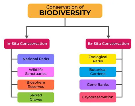 Comparison with other conservation plants