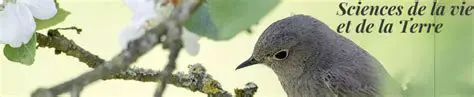 Comprendre la vie et la Terre
