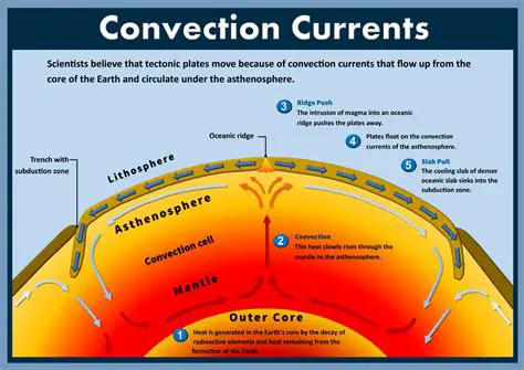 Convection currents only occur in liquids