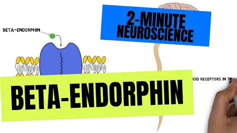 Correct Use of Beta Endorphin