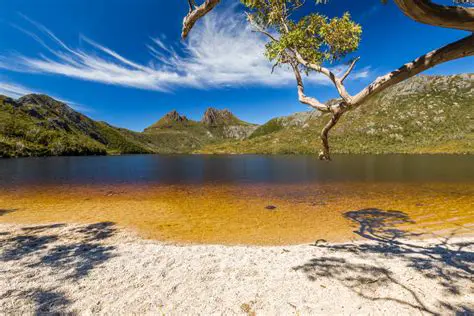 Découverte de la Tasmanie : Un Paradis Naturel Préservé