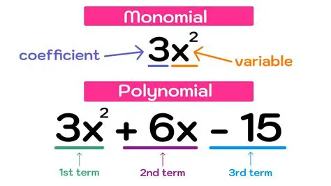 Distributing the Coefficient