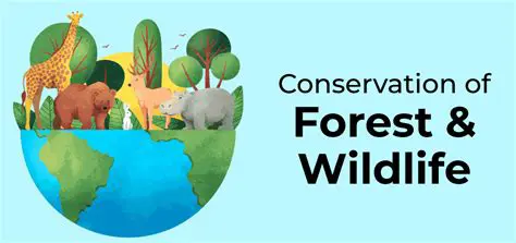 Early Conservation Efforts