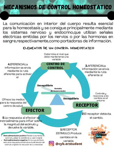 El Mecanismo de Control de la Corona