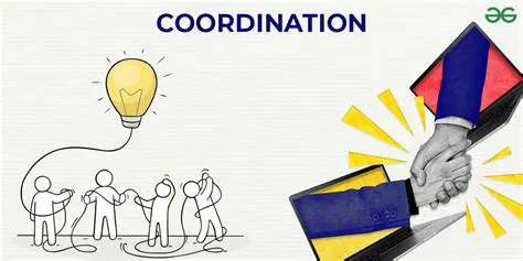 Establish a structured and effective coordination system between regional agencies