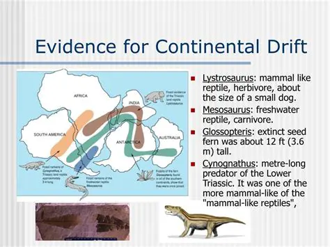 Evidence for Continental Drift
