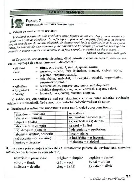 Evitarea confuziilor semantice