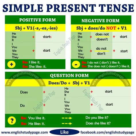 Exemplos de Verbos no Simple Present Tense