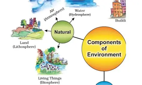 Facility as a Place or Environment