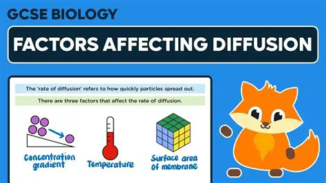 Factors Affecting Effusion Rates