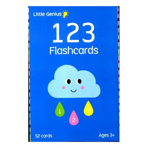Features of 123 Flash Game