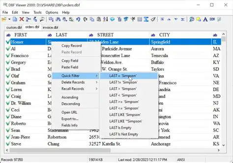 Features of the Advanced DBF Editor