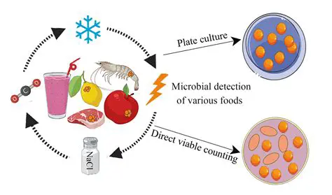 Focus on a specific disease