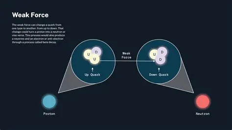 Formation of the Weak Nuclear Force