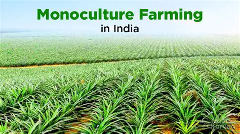 Frequently Asked Questions About Monoculture and Growing a Single Plant Species