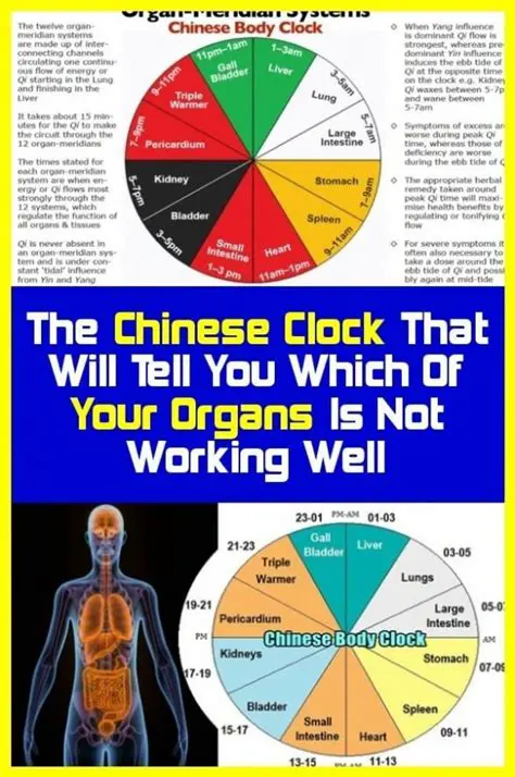 Frequently Asked Questions About the Chinese Clock