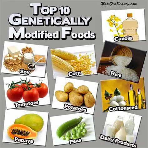 Genetically Modified Foods