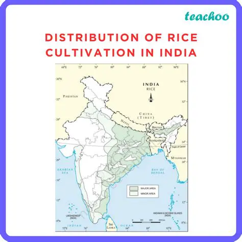 Geographical Context of Rice Cultivation