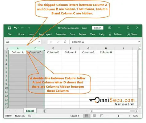 Hiding and Unhiding Rows and Columns