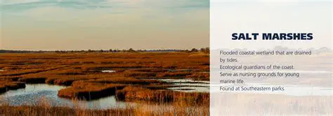 Historical Uses of Salt Marshes