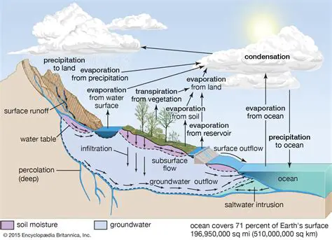 How Precipitation Replenishes Groundwater