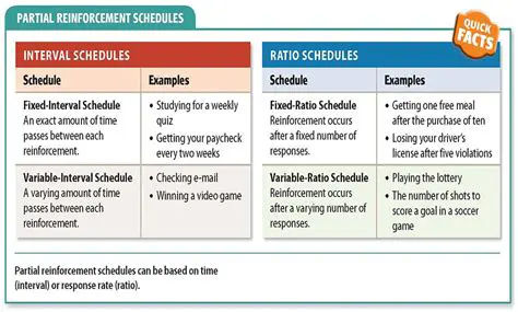 How Variable Reward Schedules Work