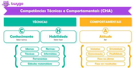 Identificar os conhecimentos e habilidades