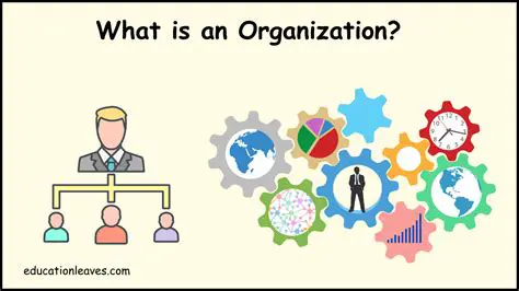 Image Import and Organization