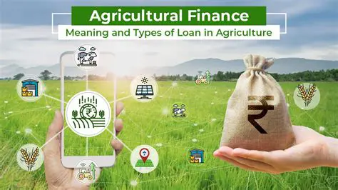 Improving Access to Agricultural Loans