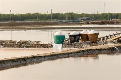 Increase domestic salt production